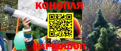 сатива Изобильный