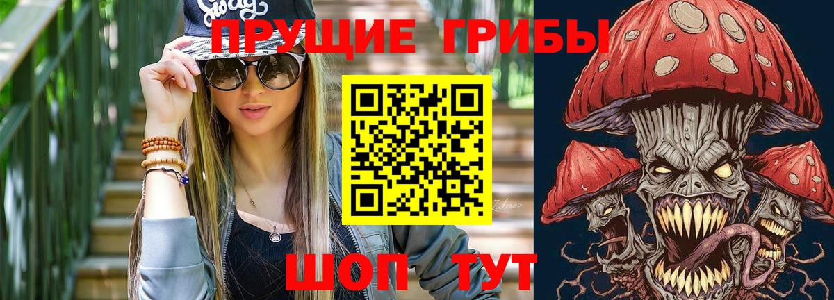 Галлюциногенные грибы Psilocybine cubensis  Вход с VPN  Псилоцибиновые грибы Cubensis  Тында 