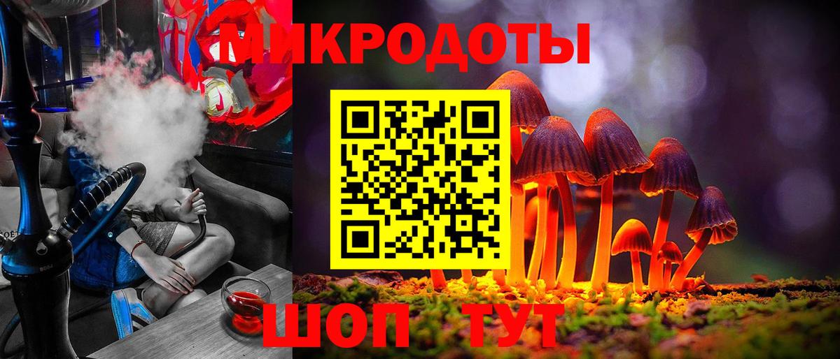 Псилоцибиновые грибы Psilocybine cubensis Тында